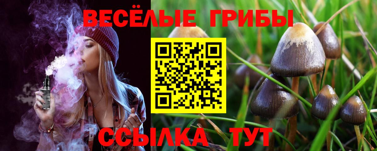 Славгород  Псилоцибиновые грибы GOLDEN TEACHER  Вход с VPN 